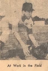 John Sanderson