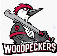 Pittsfield Astros 2001 logo